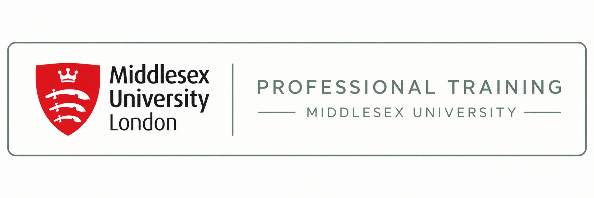 Middlesex University London — professional training